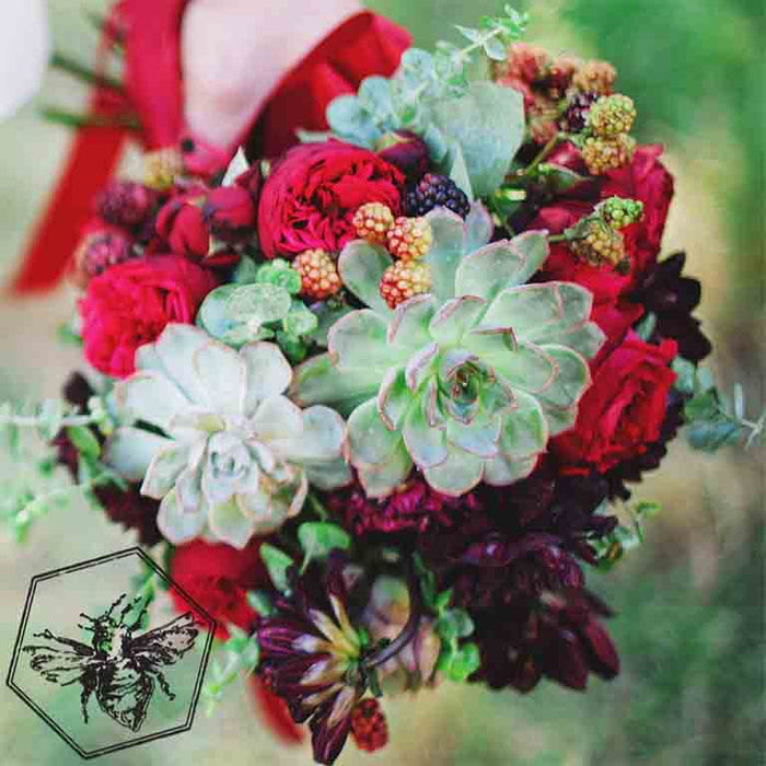 Deep toned wedding bouquet featuring berries and succulents by The B Nest Studios