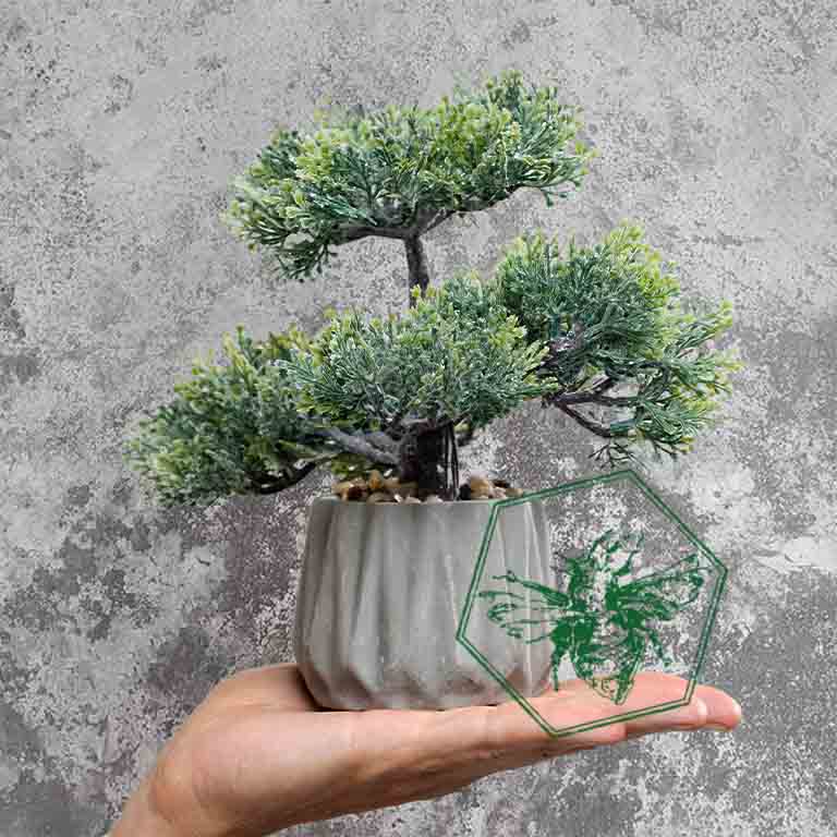 Bonsai Tree from The B Nest Studios — view 2