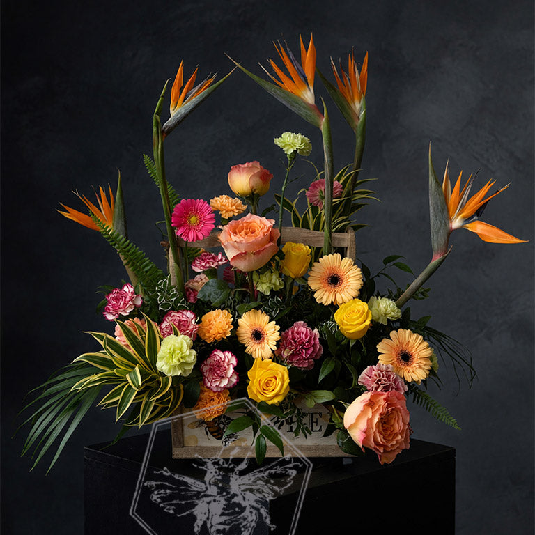 Luxury Designers Choice from The B Nest Studios — view 7