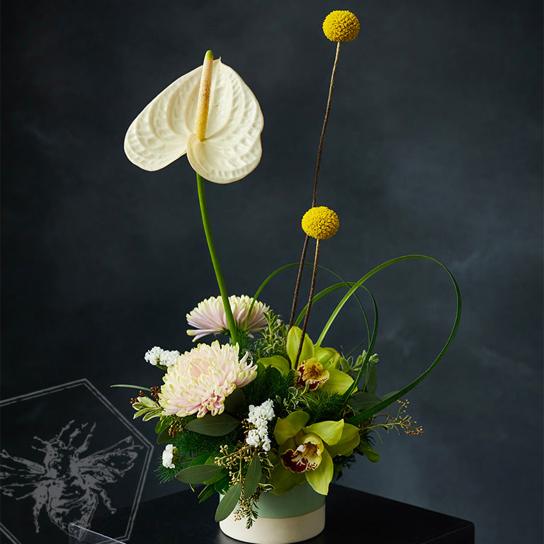 Modern arranged flowers with anthurium, roses fern, pussy willows and orchids with complimentary greenery in a ceramic pot