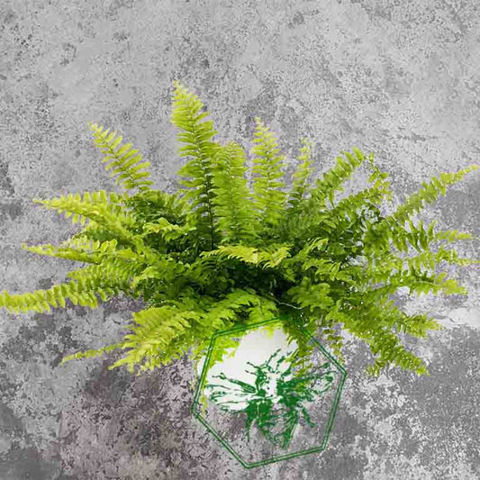A green artificial fern plant in a hexagonal white pot, photographed from above against a textured gray concrete background.