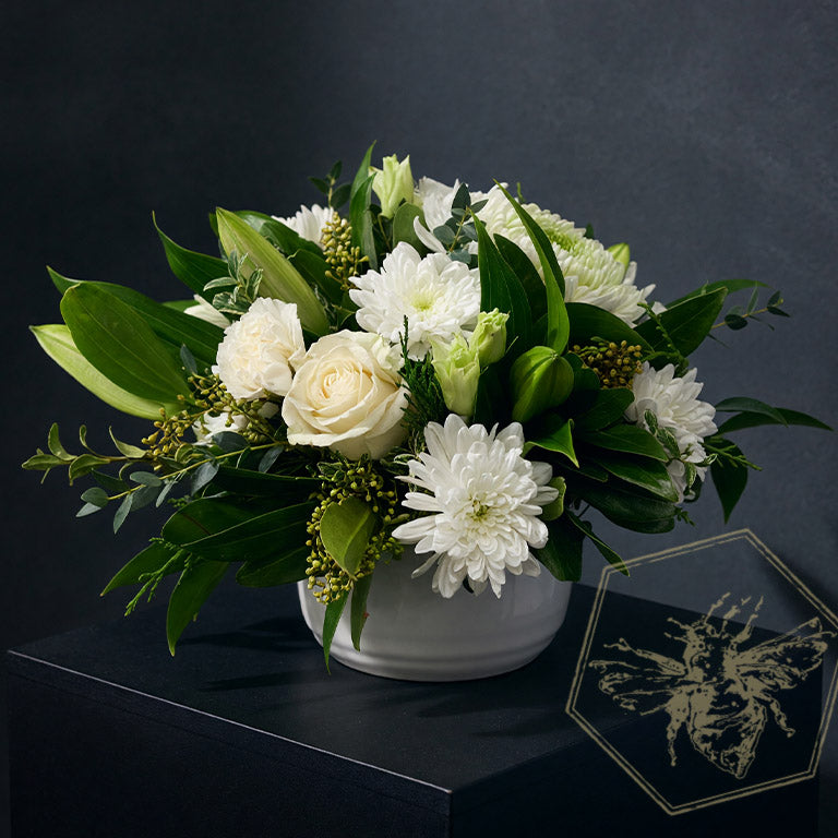 Compact modern flower arrangement with white roses and mums with complimentary greens  